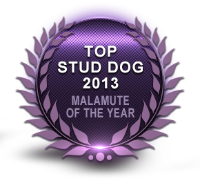 Awards our dogs have taken