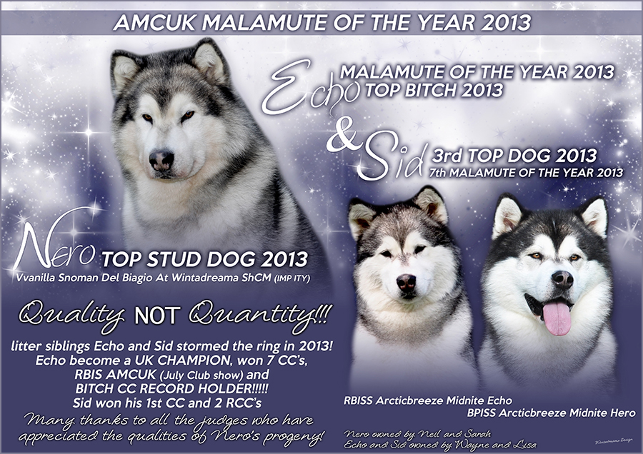 Alaskan Malamute